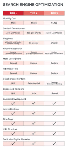 SEARCH ENGINE OPTIMIZATION